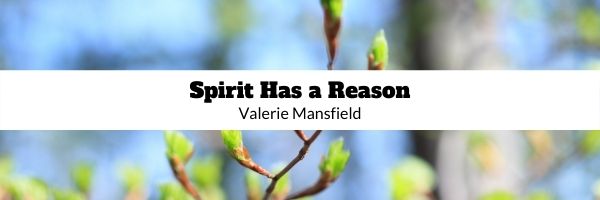 Buds on a tree, black text, Spirit Has a Reason, Rev Valerie Mansfield